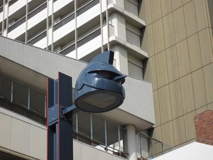 IMG_6041.jpg